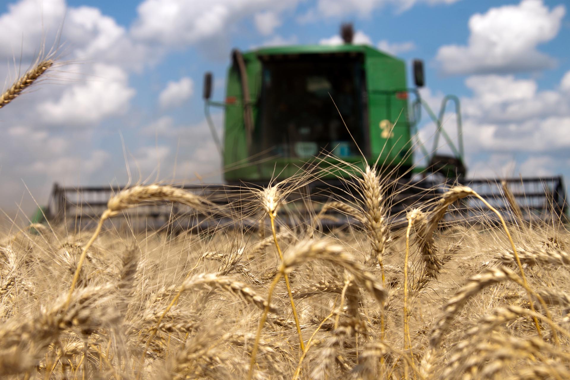 Combine harvester working on a wheat field